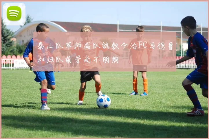 泰山队军师离队执教今治FC马德鲁加归队前景尚不明朗