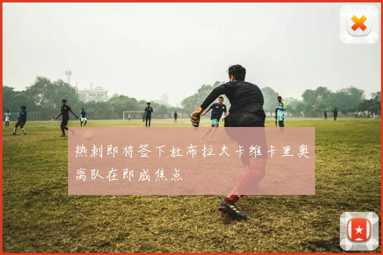 热刺即将签下杜布拉夫卡维卡里奥离队在即成焦点